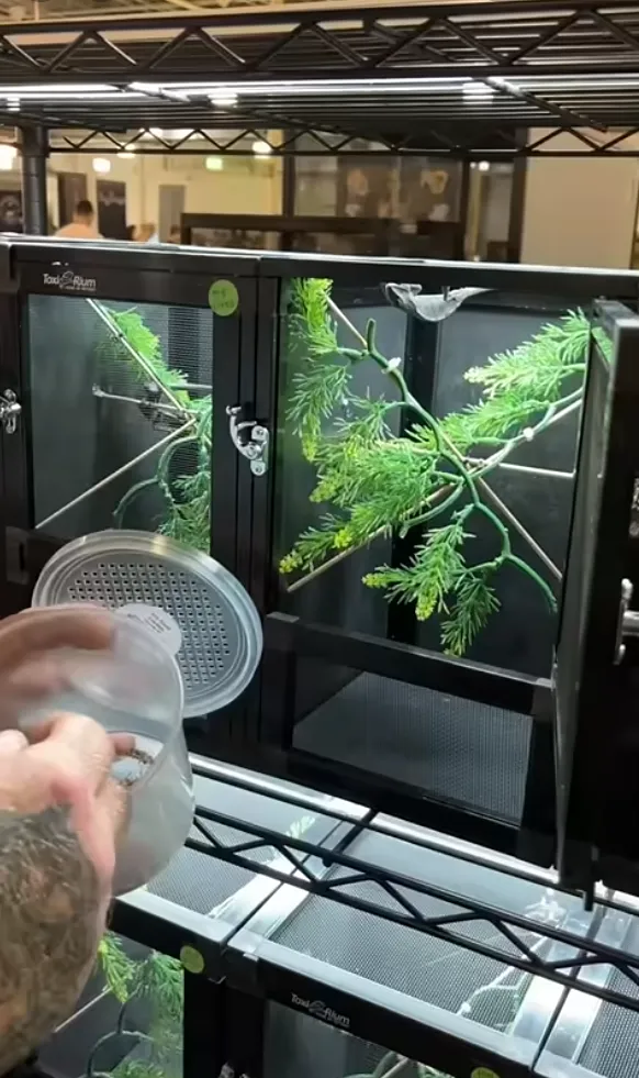 White PVC Reptile Enclosure