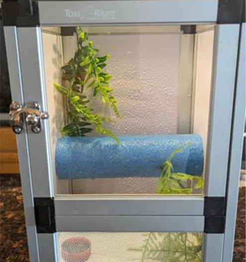 Custom Reptile Wall Unit