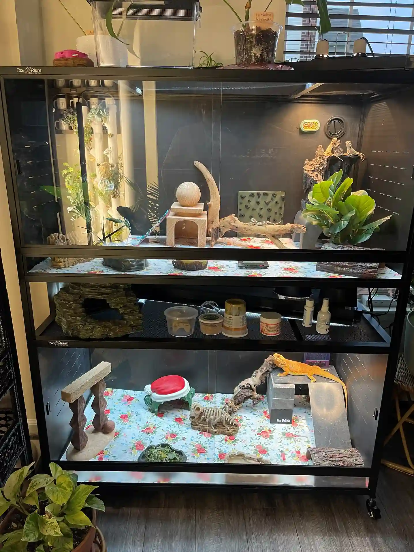 Three-tier Toxirium PVC reptile enclosures stacked with plants and lizard