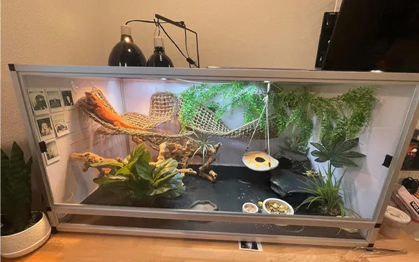 40x16x16 White reptile enclosure front view