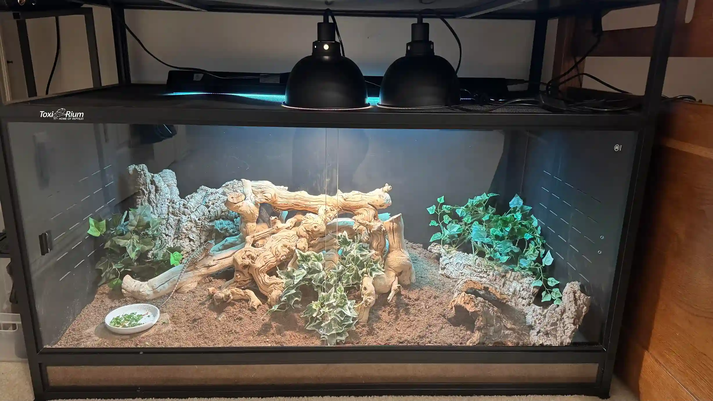 Toxirium PVC reptile enclosure with branches, lamps, and sandy substrate.