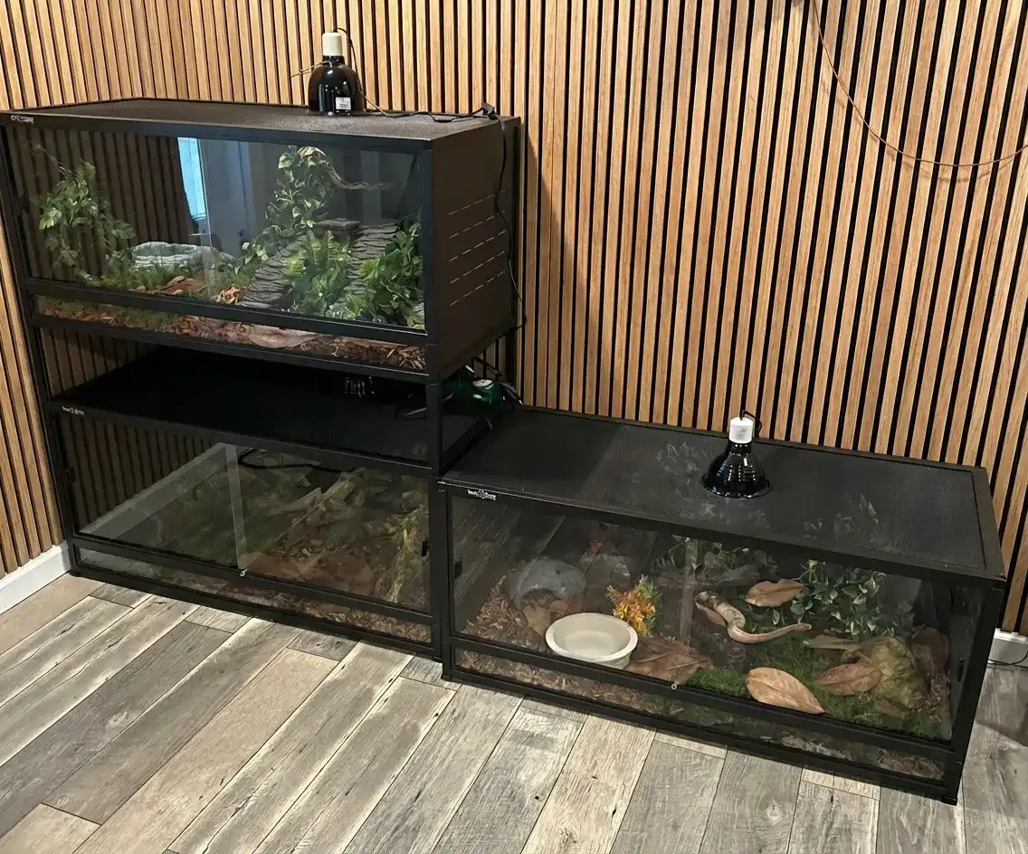 Toxirium PVC reptile enclosure with lizard, plants, and heat lamps.