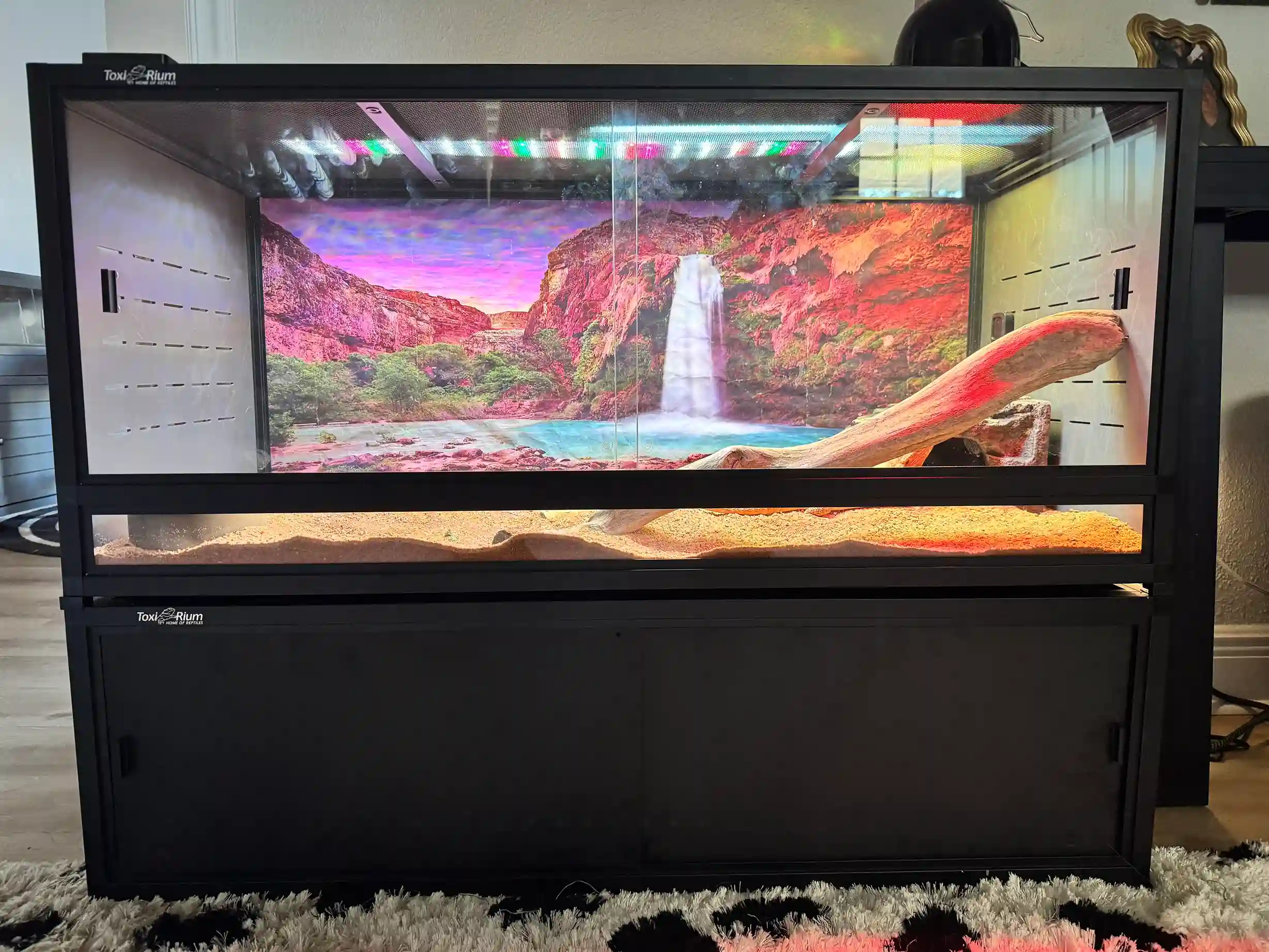 Toxirium PVC reptile enclosure with waterfall backdrop and branch