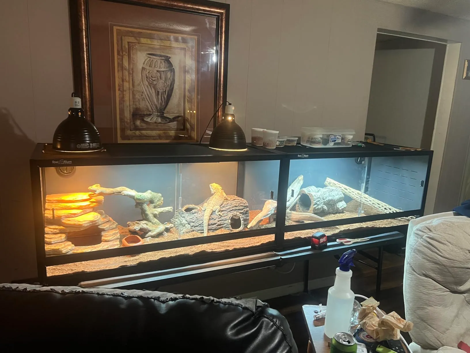 Toxirium PVC reptile enclosures with decor, lizard, and heat lamps.