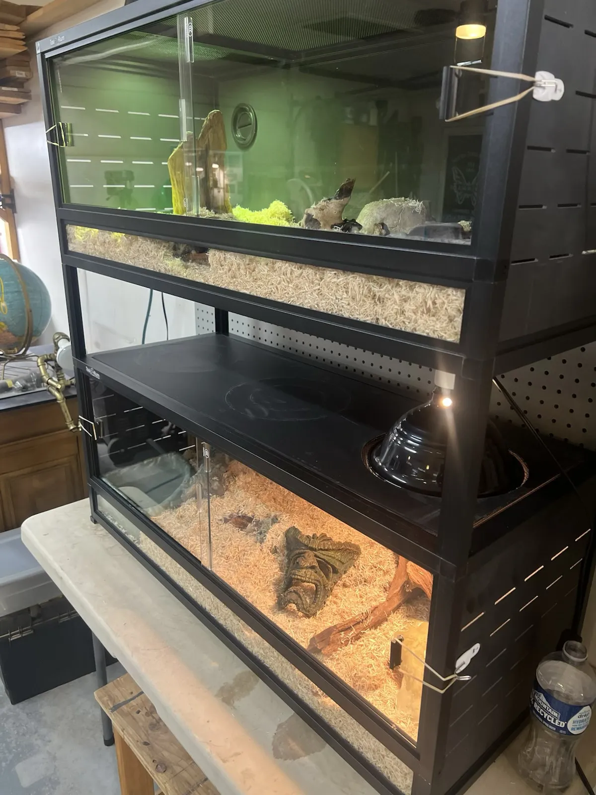 Two-tiered Toxirium reptile terrarium on a workbench, glowing green.